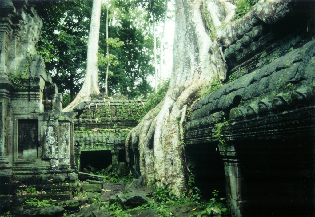 GN Angkor Natur04