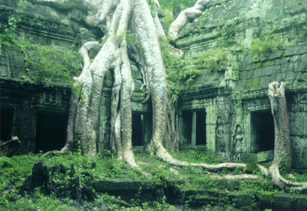 GN Angkor Natur03